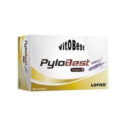 PYLOBEST 60 CAPSULAS...