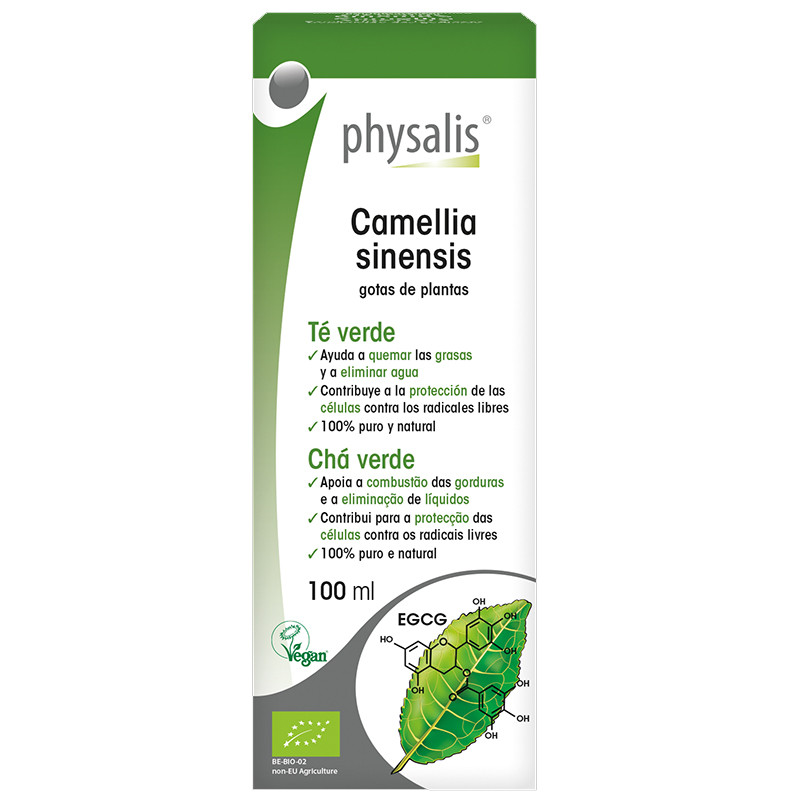 CAMELLIA SINENSIS 100Ml. PHYSALIS