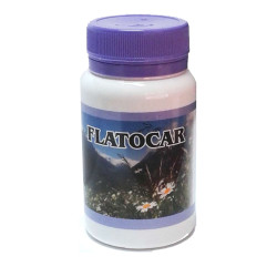 FLATOCAR PLUS 60 CAPSULAS...