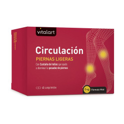 VITALART CIRCULACION 60...