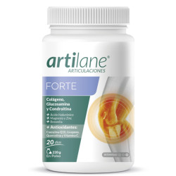 ARTILANE FORTE 220Gr. ARAMA...