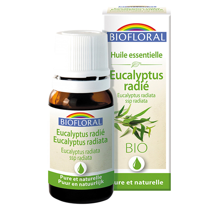 ACEITE ESENCIAL DE EUCALIPTUS RADIATA 10Ml. BIOFLORAL