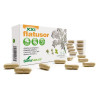 17-C FLATUSOR FORMULA XXI 30 CAPSULAS SORIA NATURAL