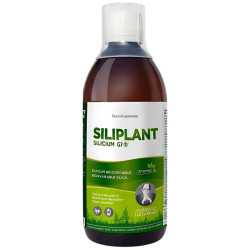 G7 SILIPLANT BIO-DINAMIZADO...