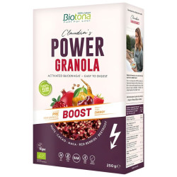 GRANOLA ENERGÉTICA ACTIVE...