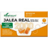 JALEA REAL 2000 CON PROBIÓTICOS 20 VIALES SORIA NATURAL