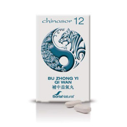 CHINASOR 12 BU ZHONG YI QI...