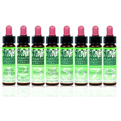 REMEDIO 6 AUTOESTIMA 10Ml....