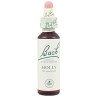 (15) HOLLY 20Ml. BACH