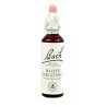 (35) WHITE CHESTNUT 20Ml. BACH