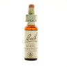 (35) WHITE CHESTNUT 20Ml. BACH