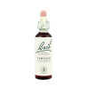 (31) VERVAIN 20Ml. BACH