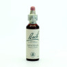 (12) GENTIAN 20Ml. BACH