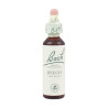 (03) BEECH 20Ml. BACH