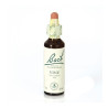 (32) VINE 20Ml. BACH