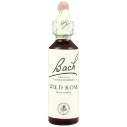 (37) WILD ROSE 20Ml. BACH