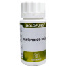 HOLOFUNGI MELENA DE LEON 50 CAPSULAS EQUISALUD