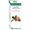 BIO ESSENTIAL OIL GAULTERIA 10Ml. EQUISALUD