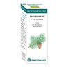 BIO ESSENTIAL OIL PINO SILVESTRE 10Ml. EQUISALUD