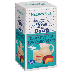 SAY YES TO DAIRY 50...