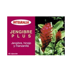 JENGIBRE PLUS 60 CAPSULAS...