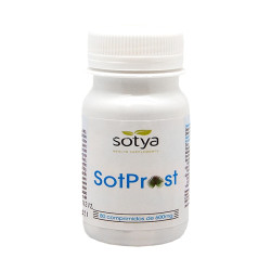 SOT-PROST 600Mg. 80...