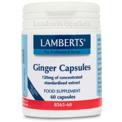 GINGER ROOT 14.400Mg. 60...