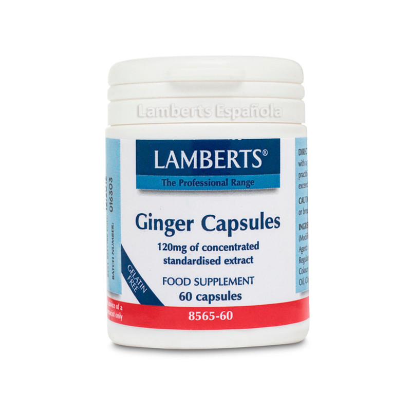 GINGER ROOT 14.400Mg. 60 CAPSULAS LAMBERTS