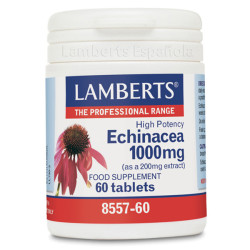 ECHINACEA 1.000Mg. CON VIT...