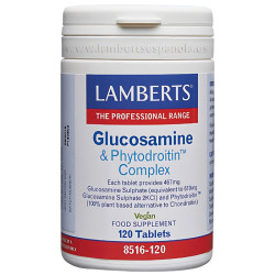 COMPLEJO DE GLUCOSAMINA Y...