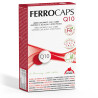 BIPOLE FERROCAPS 60 CAPSULAS INTERSA