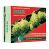 NONI 60 CAPSULAS GOLDEN GREEN