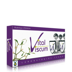 VITAL VISCUM 40 CAPSULAS TEGOR