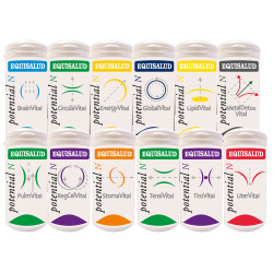 RENVITAL 60 CAPSULAS EQUISALUD