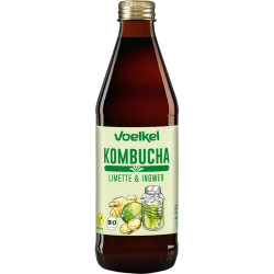 KOMBUCHA LIMA Y JENGIBRE...