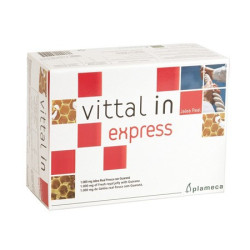 VITTA IN EXPRESS 20 VIALES...