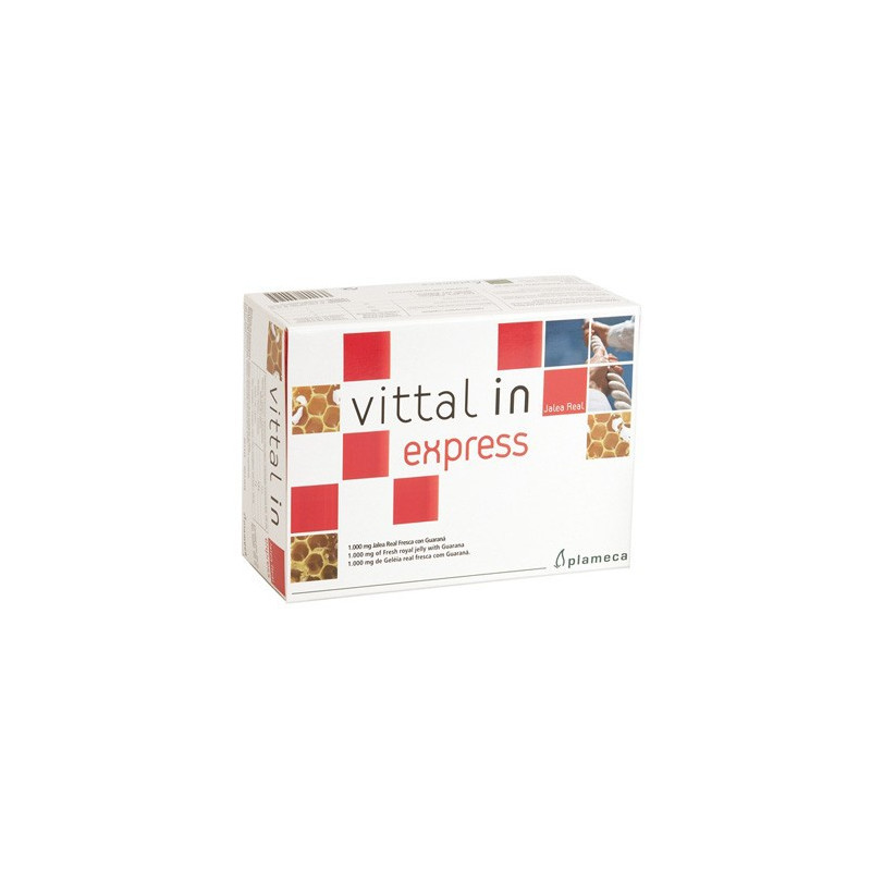 VITTA IN EXPRESS 20 VIALES 10Ml. PLAMECA