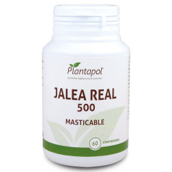 JALEA REAL 500 MASTICABLE...