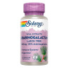 ARABINOGALACTANO 60 CAPSULAS VEGETALES SOLARAY