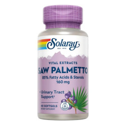 SAW  PALMETTO 60 PERLAS...