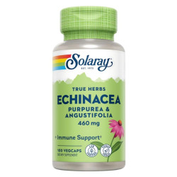 ECHINACEA (PUR/ANGUS)...