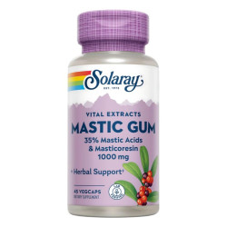 MASTIC GUM 500Mg. 45...