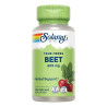 BEET ROOT (REMOLACHA) 100 CAPSULAS VEGETALES SOLARAY