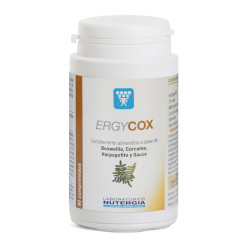 ERGYCOX 90 COMPRIMIDOS...