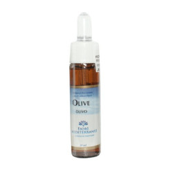 FM OLIVE (Olivo) 10Ml....