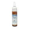 FM PINE (Pino silvestre) 10Ml. FORZA VITALE