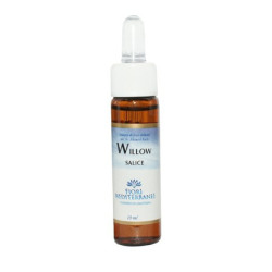 FM WILLOW (Sauce) 10Ml....