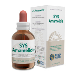 SYS AMAMELIDE (HAMAMELIS)...