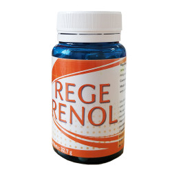 REGE-RENOL 60 CAPSULAS...