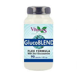 GLUCOBLEND ARTICULAR (FLEX...